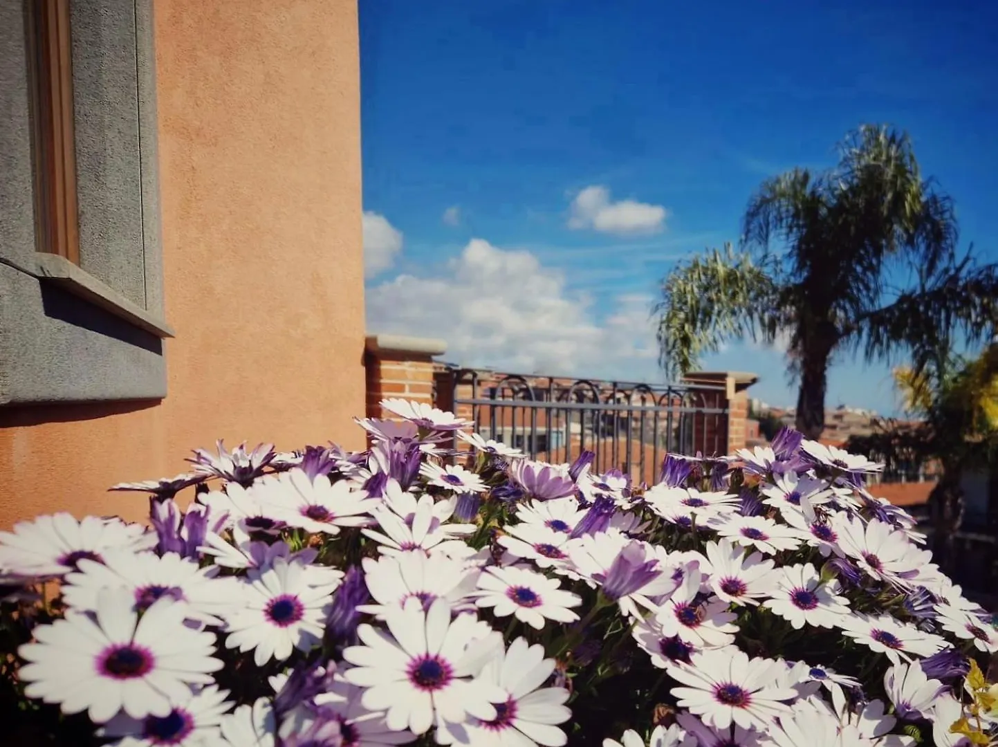 *** Bed & Breakfast Villa Hirschen Zafferana Etnea Italië